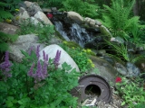 CIMG0544